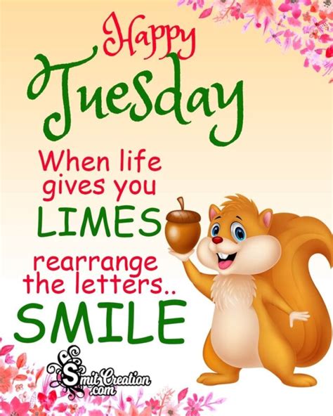 cute tuesday images|happy tuesday images for work.